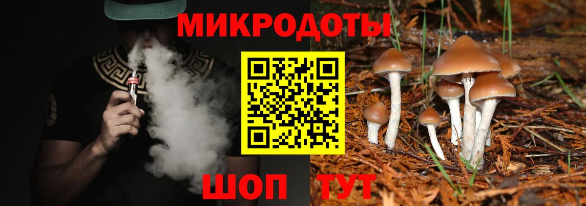 Галлюциногенные грибы Cubensis  Галлюциногенные грибы прущие грибы  Вход с VPN  Армавир 